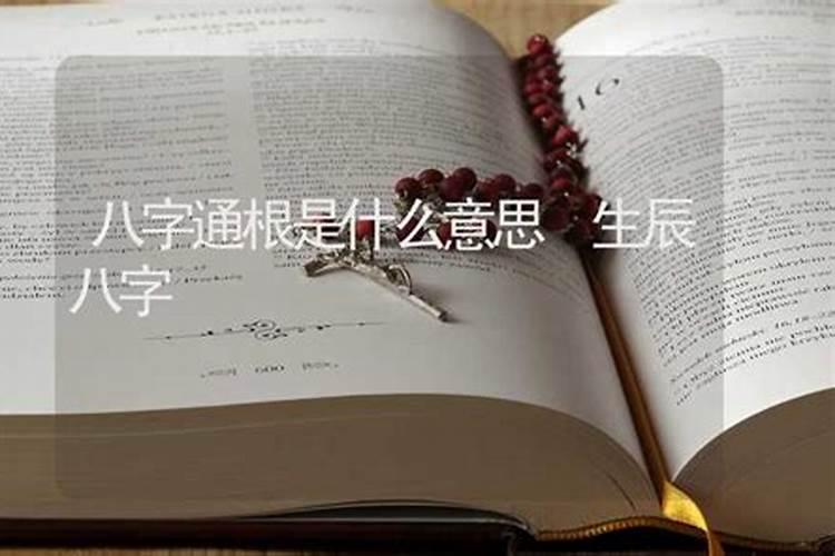 ...是1970.12.12我想知道阳历是几号, 查一下星座？