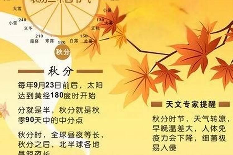 适合端午节佩戴的首饰