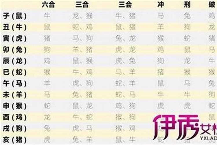 外国有属相婚配之说吗,属相婚配