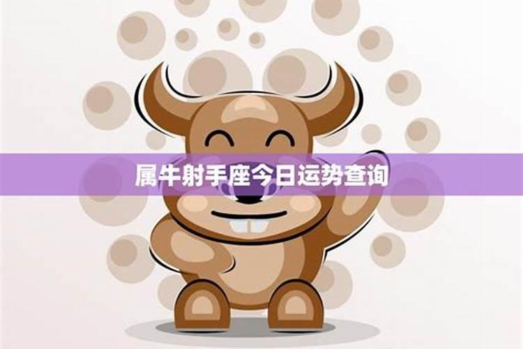 射手座最命苦的属相
