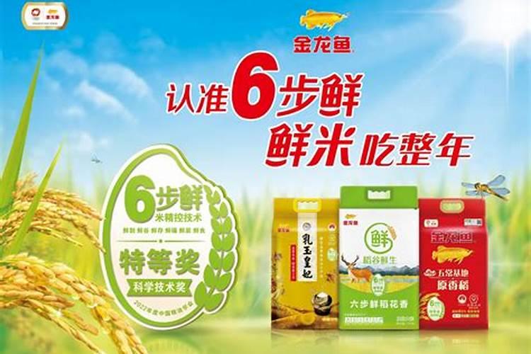闰一月多少年才会出现一次