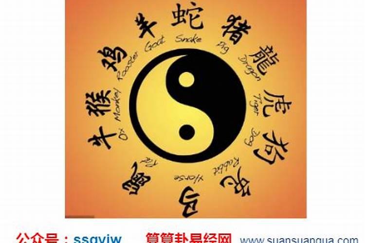 什么生辰八字最好