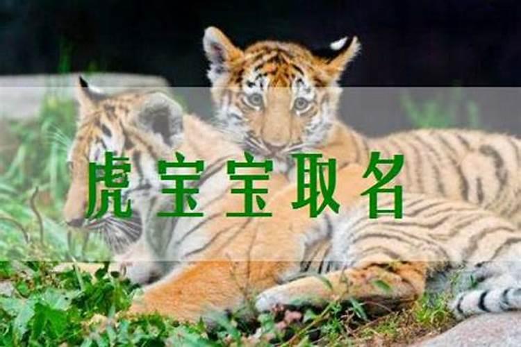 姓王的虎宝宝名字有山有水 姓王属虎的名字