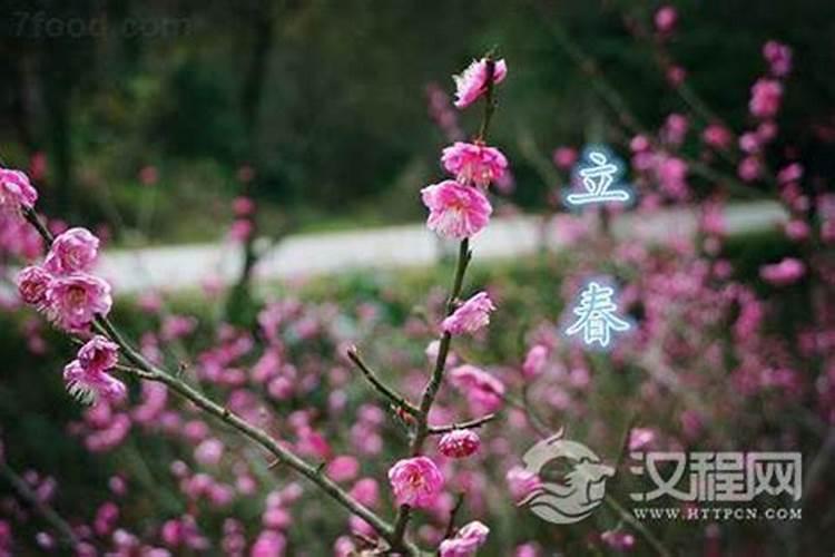 阴历十月一烧纸宜早还是宜晚