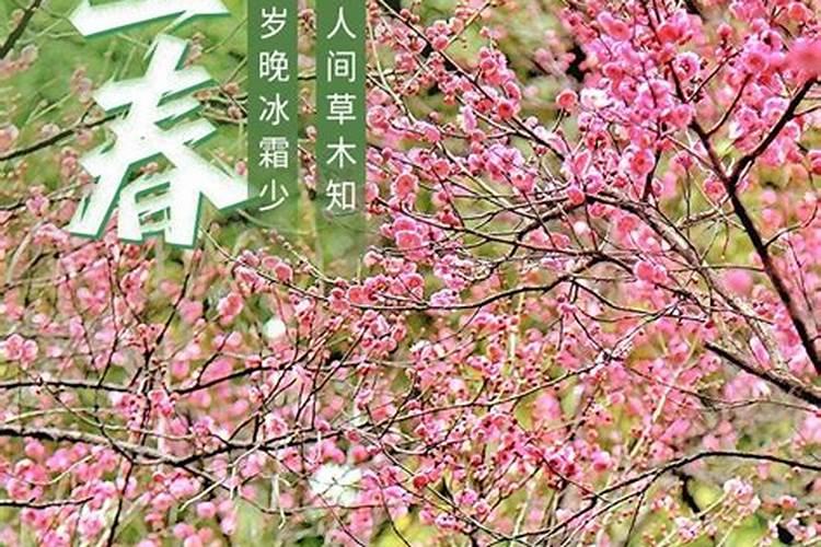 简述姜维的相关故事内容