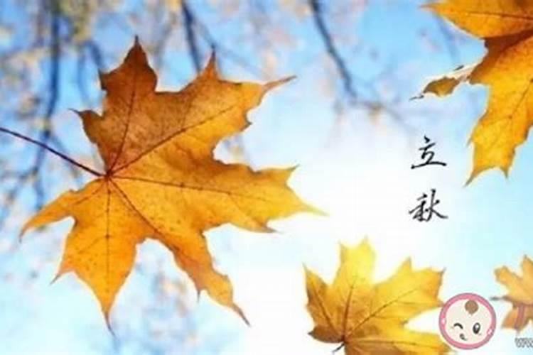 净空法师:婴灵的由来