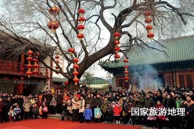 1994年属狗是什么命