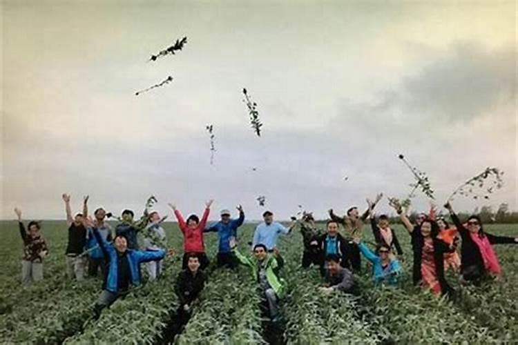 生肖虎的八月运势,属虎的8月生日,谁帮我算一下命运？