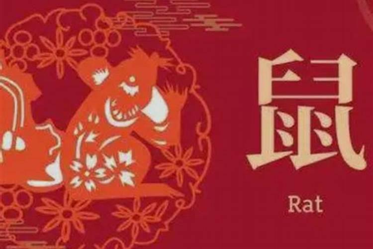 84年老鼠鸡年感情运势