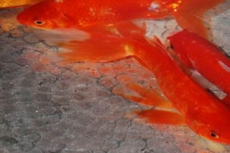 清明节安全注意事项有哪些