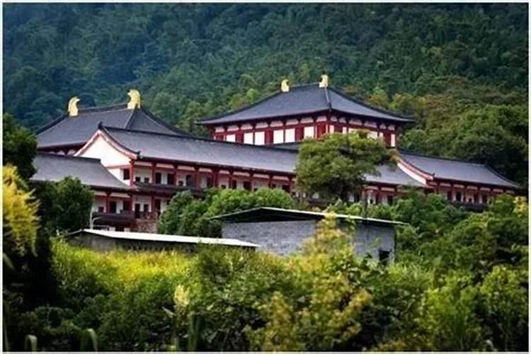 红四军第七代表大会,代表有哪些