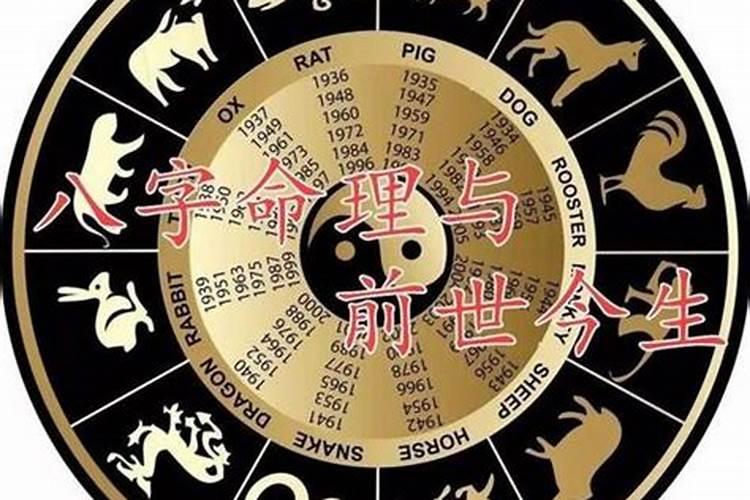 查查我前世是什么人,测测我的前世是什么人