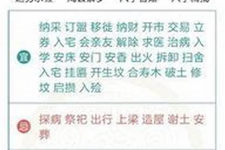 女人梦见被老鼠咬了吉兆
