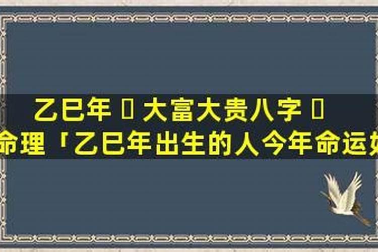 鼠的运势2025年运势详解