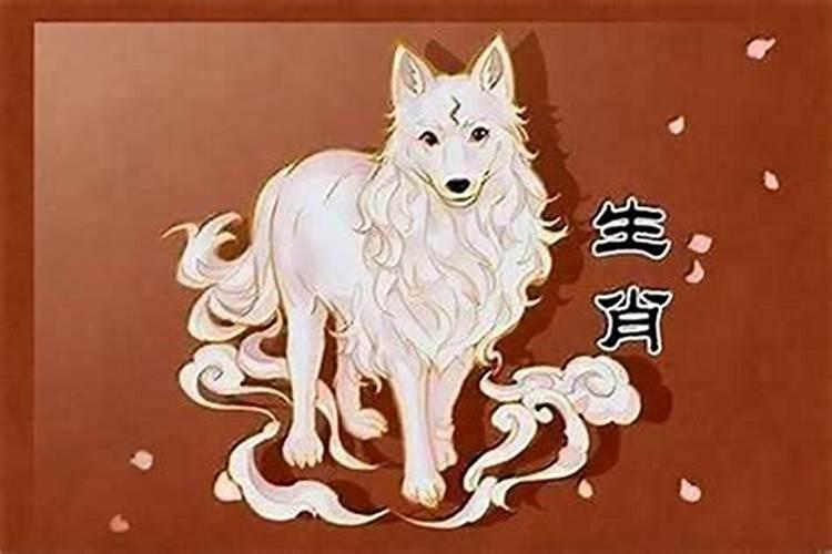 属狗人2025年全年运势运程免费 属狗2025年每月运势及运程详解