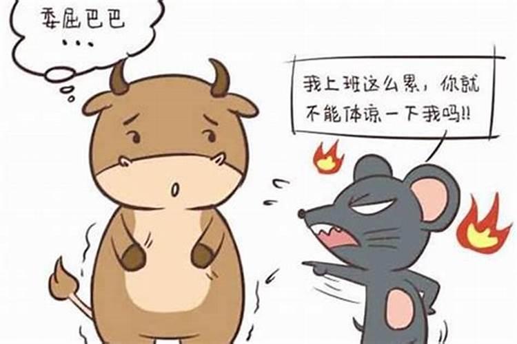 本命年运气不好 本命年运气不好是真的吗