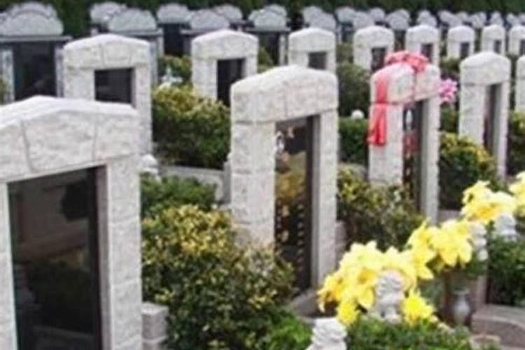 仙居有什么很有新春氛围感的旅行地？