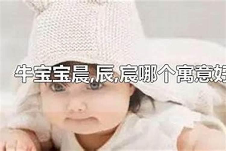 太岁的种类都包括哪些