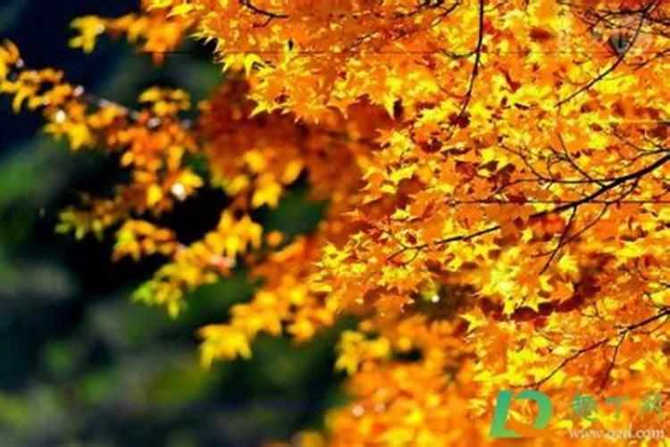 今年冬至是几月几日2024 具体几点几分几秒