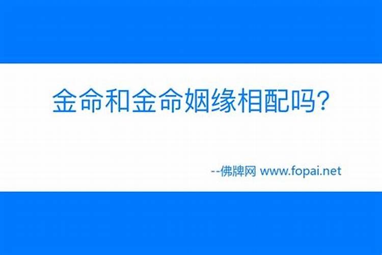 武当派简介