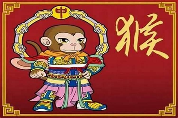 属龙和属猴相配吗？