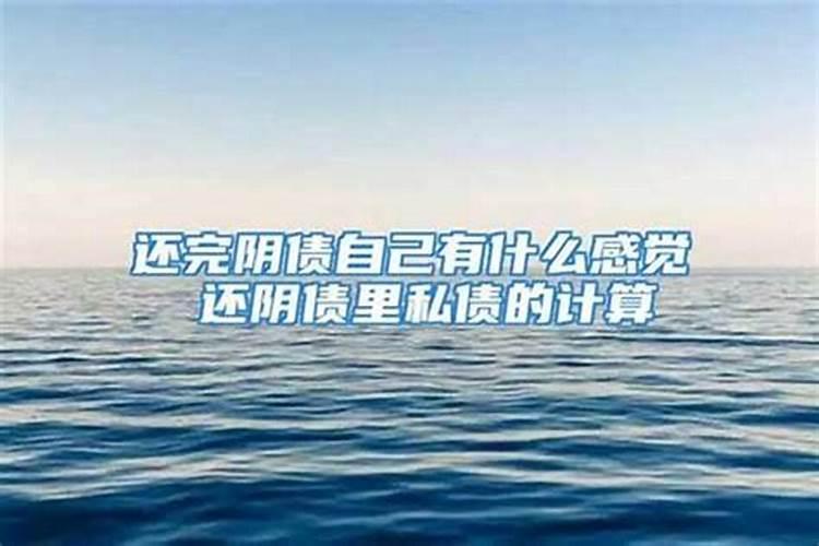属兔人2025运势完整版