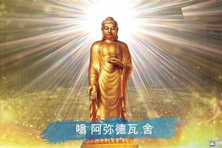 属龙女今年的运势和财运