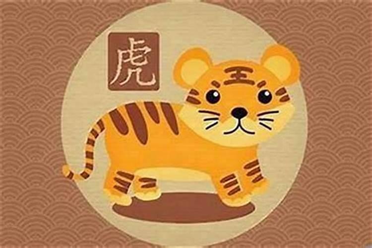属虎的几月出生最好