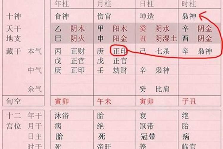 1982年狗2025年运势及运程？