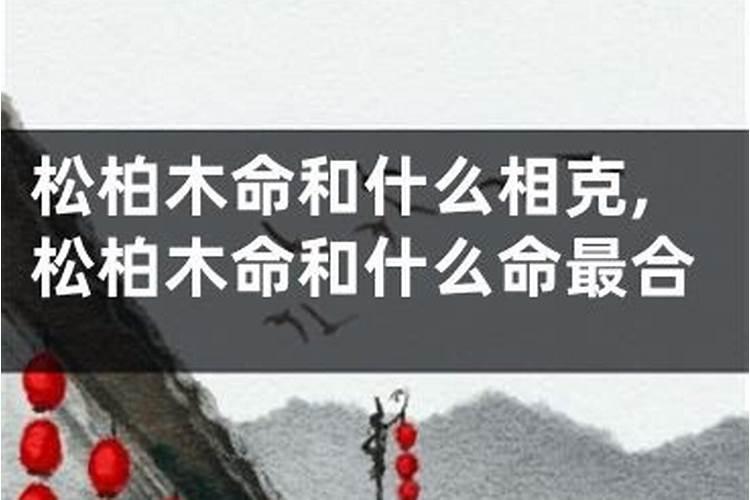 纳音婚配 平地木命和松柏木命配吗？