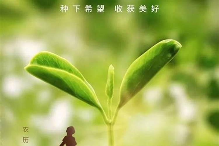 八字算两个人的姻缘 怎么看两人有夫妻缘分？