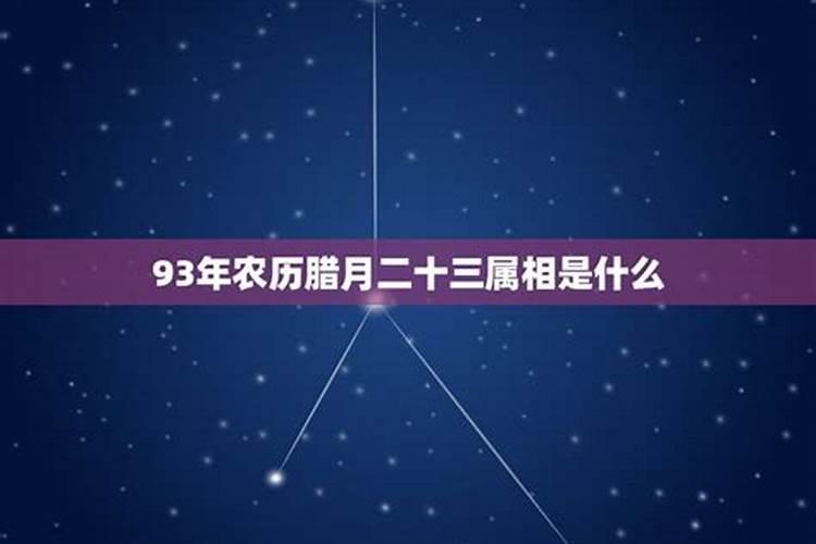 1993年腊月二十五是什么星座