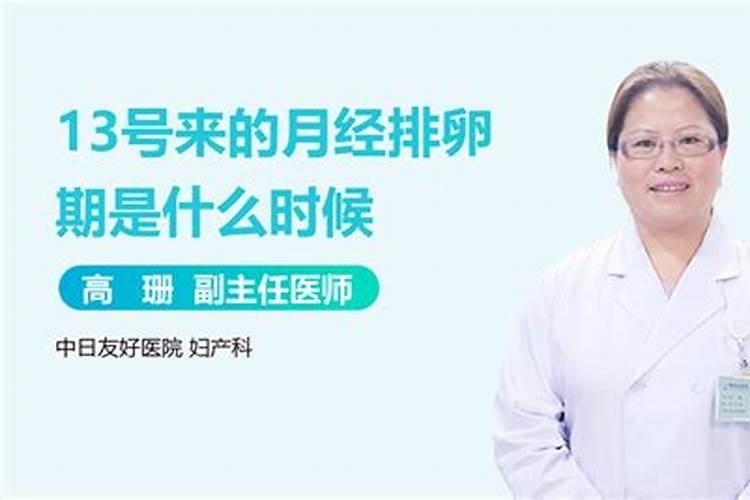 兔猴属相合不合
