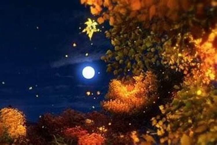 天煞孤星命什么意思
