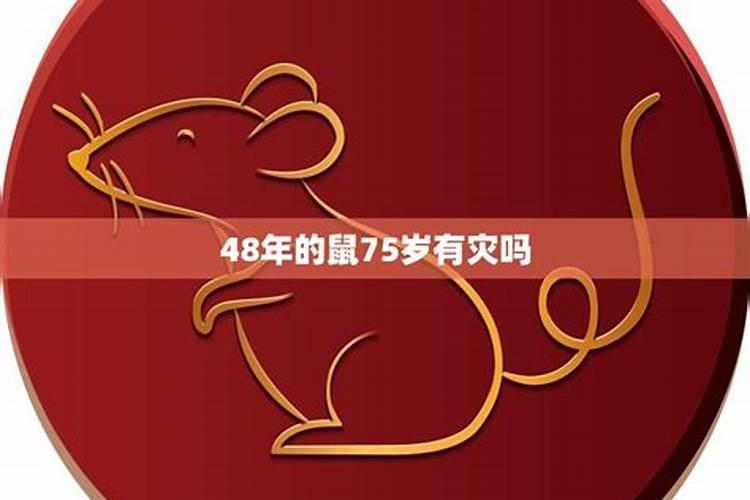 十二生肖属相犯太岁的年份,鼠年犯太岁的四个属相