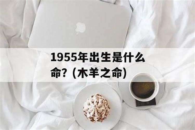 请问男1955年乙未羊,农历4月,12日,亥时生,这命晚年怎样？