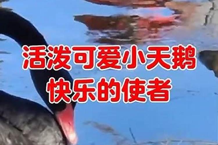 2025正月初五出行好吗