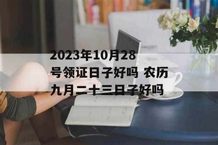 夏至出生的女孩名字好听寓意好的女孩名字大全