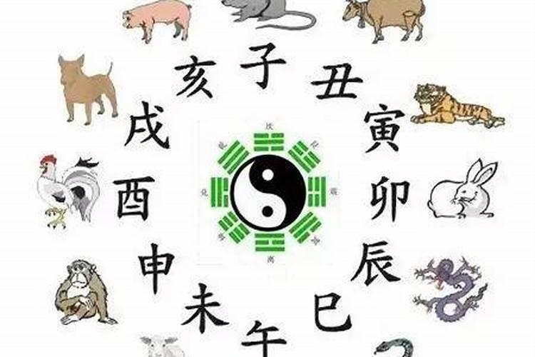属猪的人犯太岁一览表,属猪人犯太岁年份