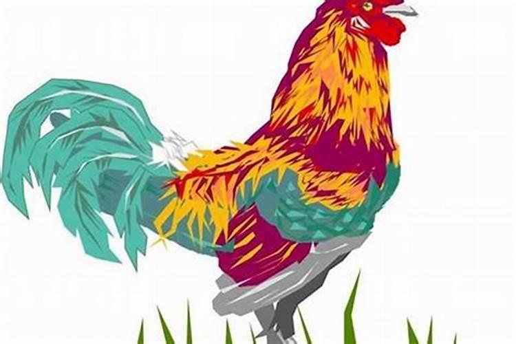 81年属鸡的三大坎 81年属鸡一生的劫难