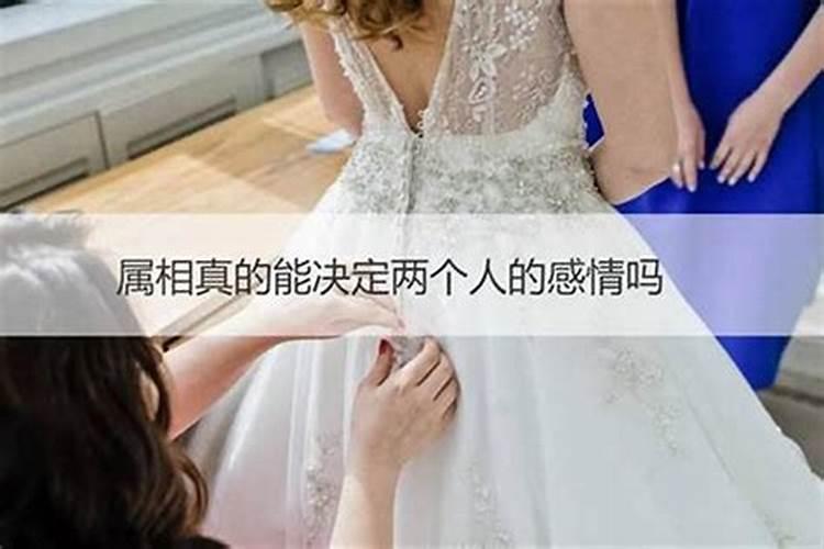 生肖狗2025年运势及运程如何