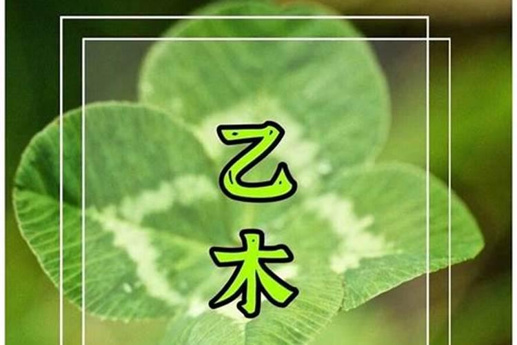 身弱乙木最好的大运