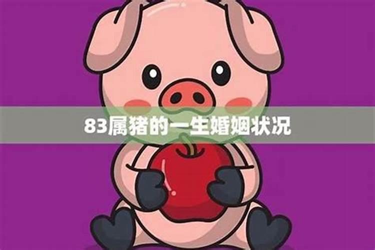 属猪的人今年婚姻如何