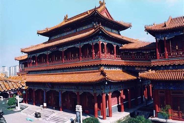 84年2025年属鼠人的全年运势