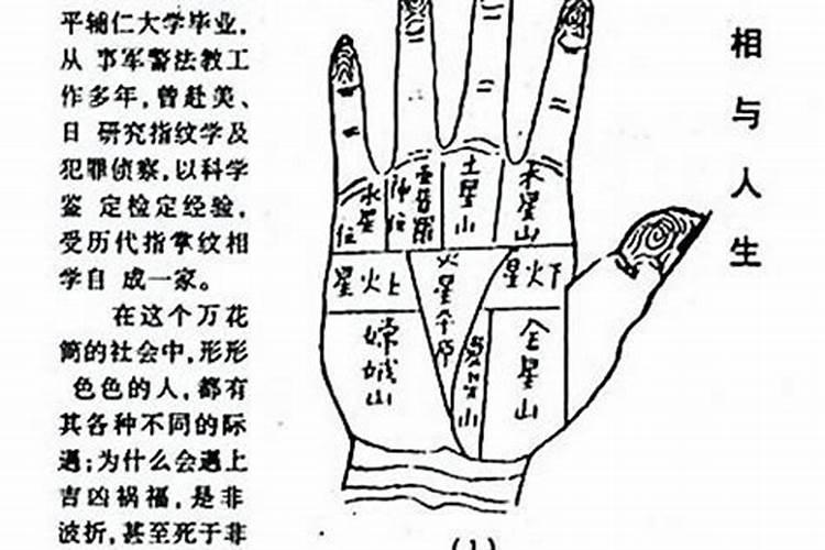 85牛和87兔的婚姻能到头吗,属牛和属兔兔的婚后运势如何？