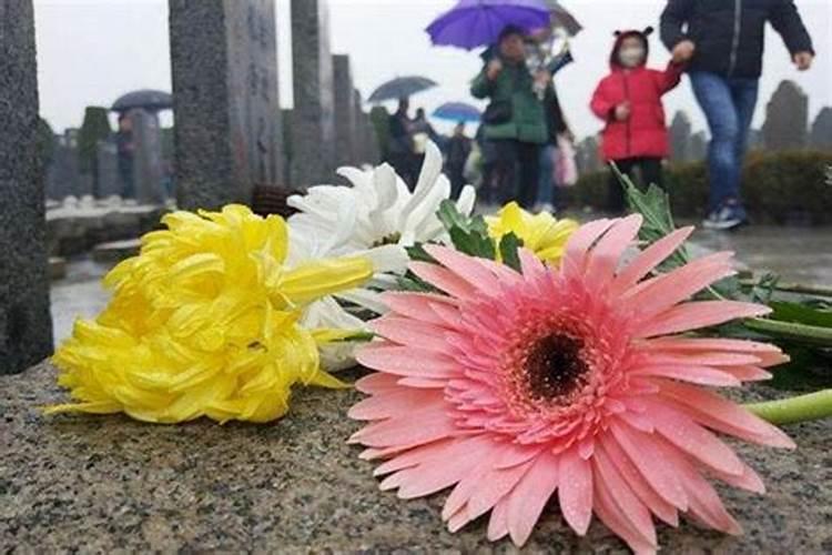 310上海人在冬至到底有哪些习俗,包括吃