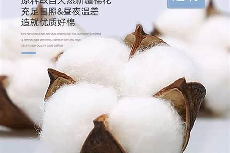 属虎人12月出生运势2024 属虎的人12月出生的命运