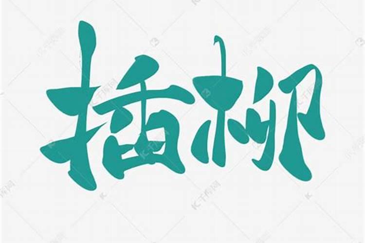 求解纯阳女命？好不好
