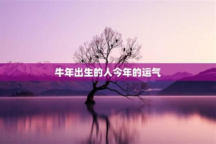 虎年哪个属相犯太岁？