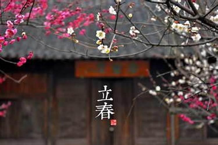 今年天赦日那几天？